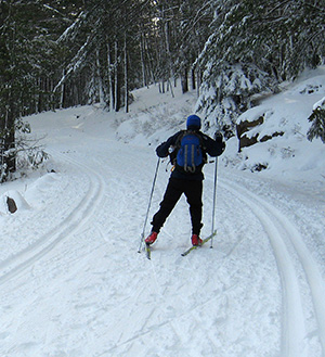 Skate Skiing on Witch Hole Pond carriage road