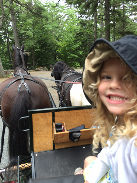 A young friend enjoys a carriage ride with the van Schaik family. Credit: Lisa Horsch Clark.