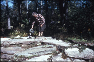 This archive photo appears in The Wild Gardens of Acadia with the caption, “By the spring of 1963, the native columbine (Aquilegia canadensis) that Elizabeth Thorndike grew from seed was ready to be planted on the Mountain, a habitat displaying plants that grow naturally at higher elevations. To ensure its survival, Thorndike regularly watered it, setting an example of stewardship for future volunteers.”