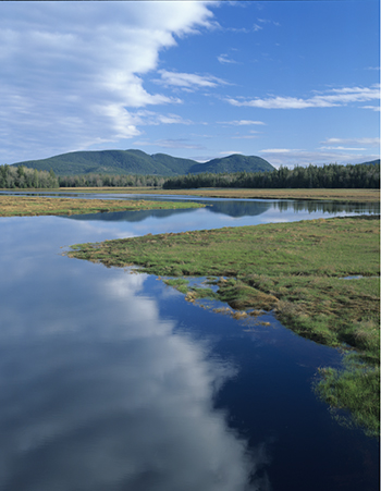 This peaceful view of Bass Harbor Marsh belies the environmental challenges caused by bridges and other development throughout the Marshall Brook Watershed. Photo by Tom Blagden.