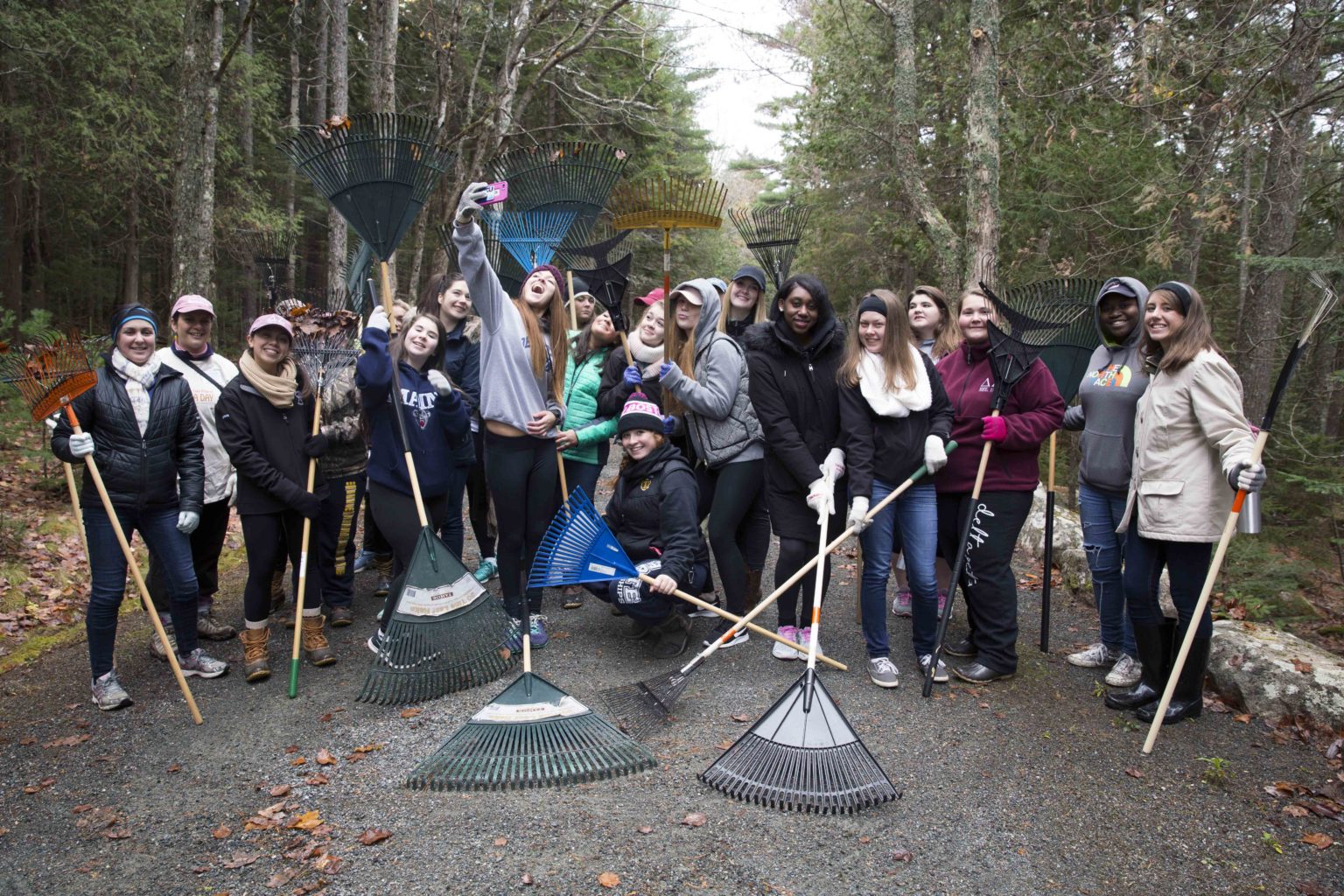 Hundreds to Volunteer in Acadia