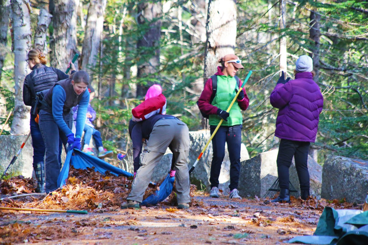 Volunteers to ‘Take Pride’ in Acadia