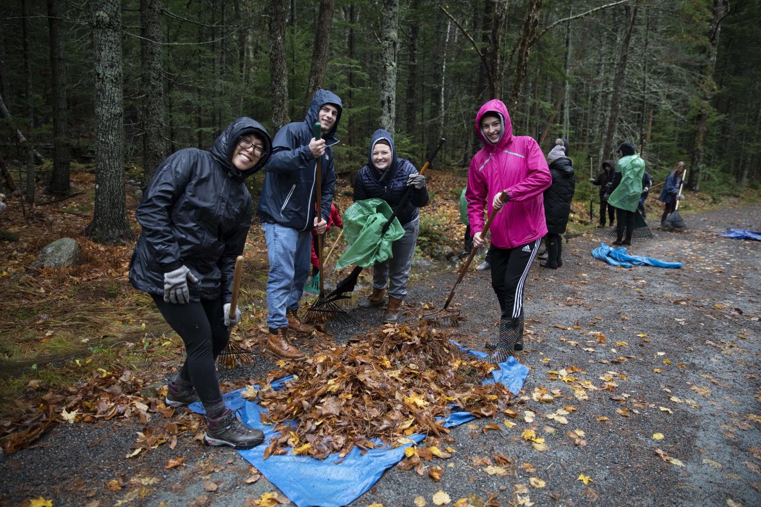 Volunteers Aid Acadia Despite Heavy Rain