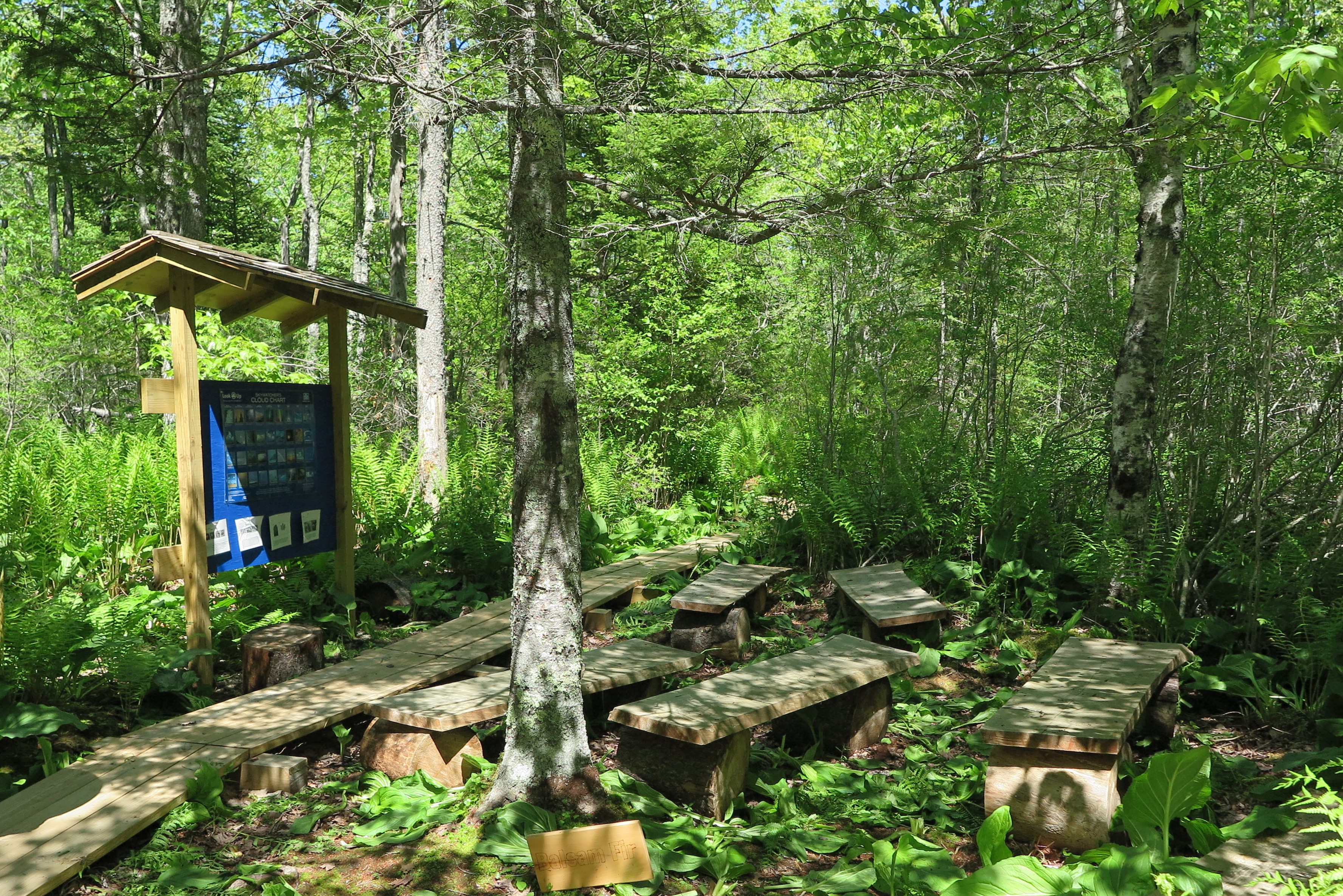 Outdoor Classroom Grants Friends of Acadia