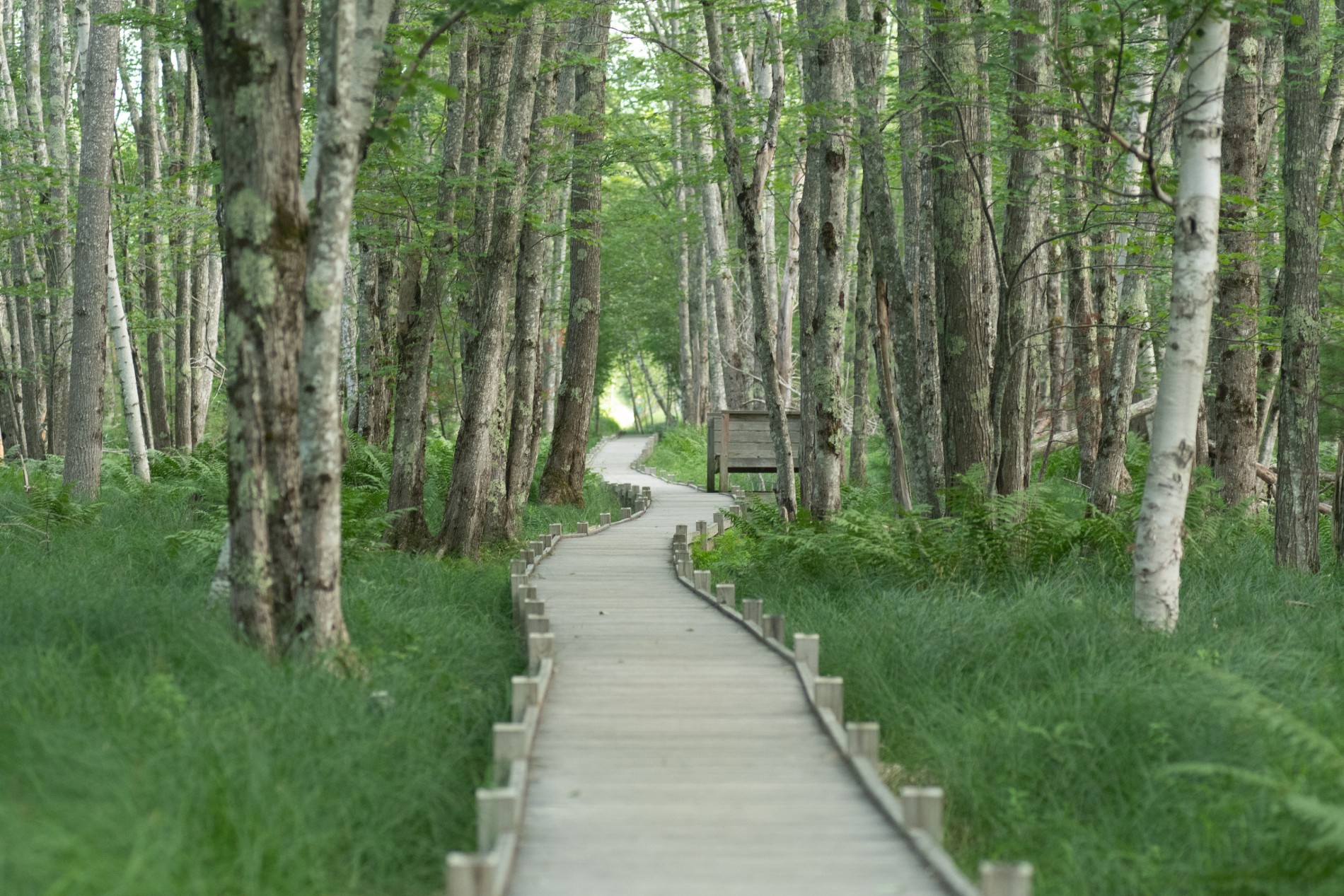 Trails That Will Last Forever