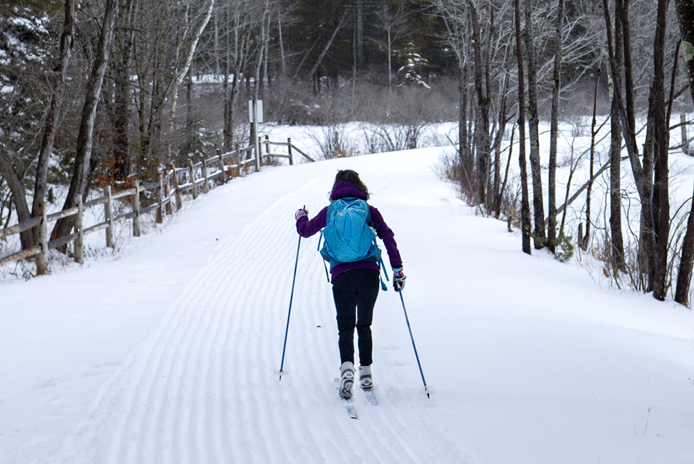 Cross Country Skier on Carriage Road in Acadia National Park