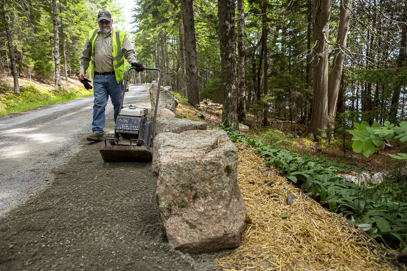 Mike Allen, foreman at Harold MacQuinn, Inc., uses a compacter to compress dirt around coping stones after ﬁnishing work to regrade an area of the Eagle Lake section of the carriage road. 