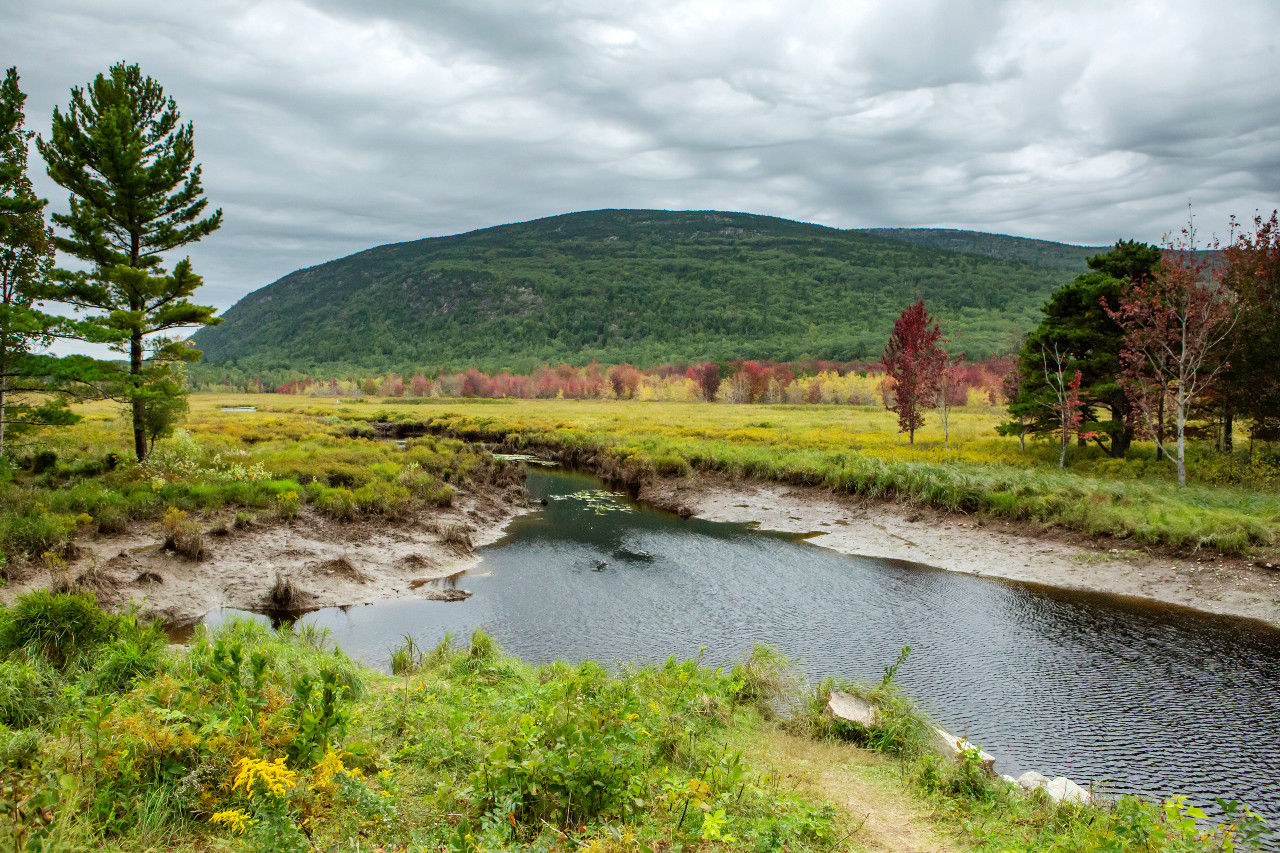 Collins, King Applaud $500,000 Investment for Wetland Restoration, Trail Improvements in Acadia National Park