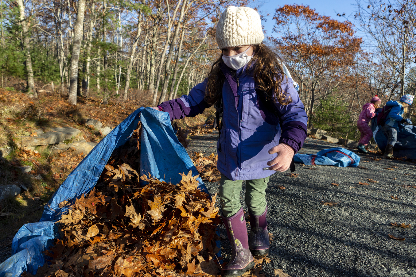Emily Ellis, 7, works to clear leaves from the carriage road as part of their Ellis Group volunteer group during Friends of Acadia’s annual Take Pride in Acadia Day