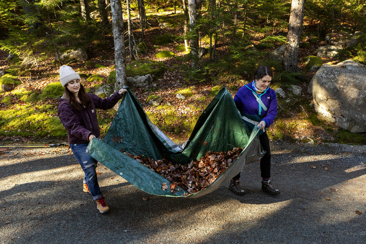 Marisa Marinelli, Senior Development Officer for Major Gifts and Events at Friends of Acadia, and Paige Steele, Conservation Projects Manager at Friends of Acadia, work to clear leaves off the carriage road as part of the Friends of Acadia volunteer during Friends of Acadia’s annual Take Pride in Acadia Day