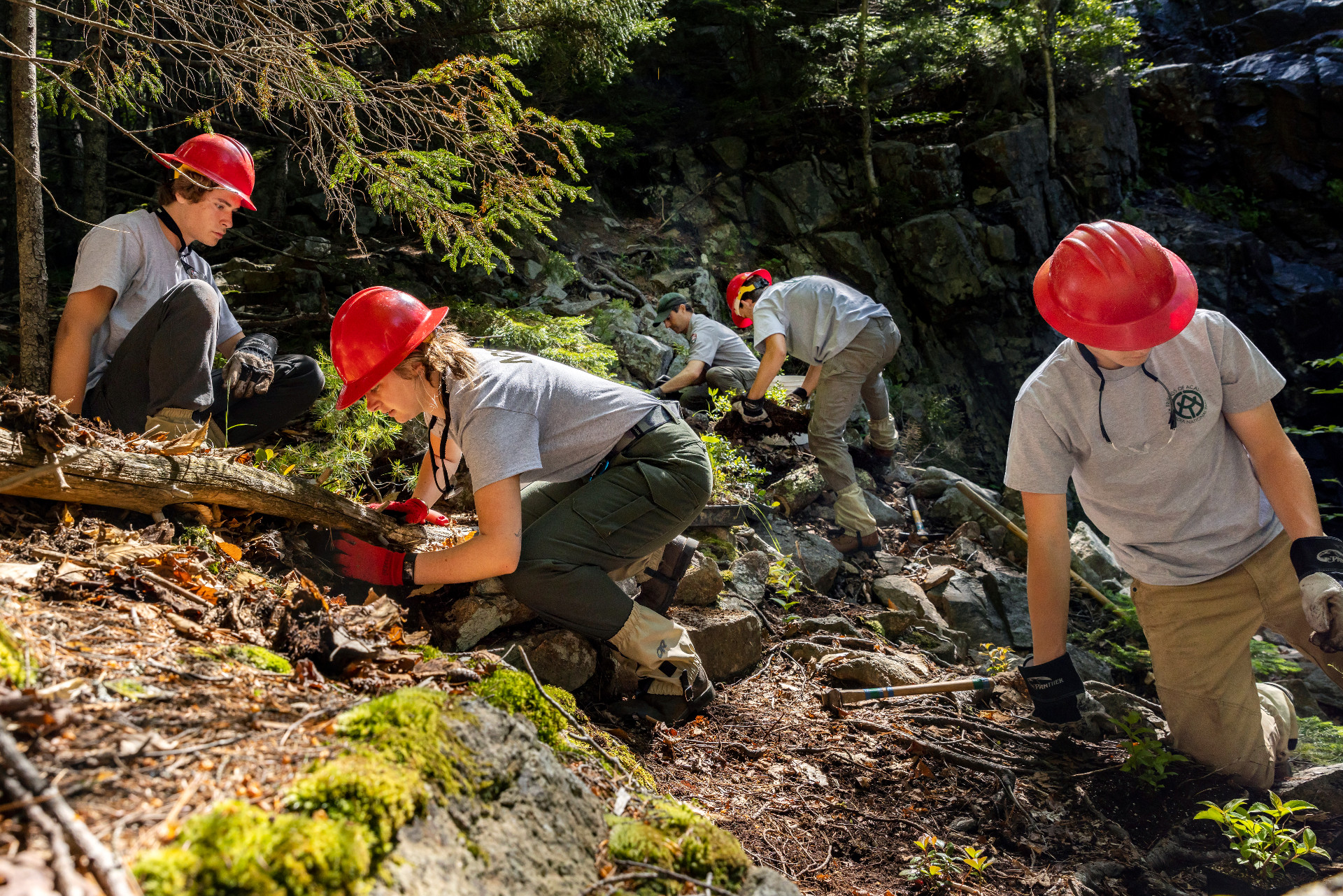 Acadia Youth Conservation Corps