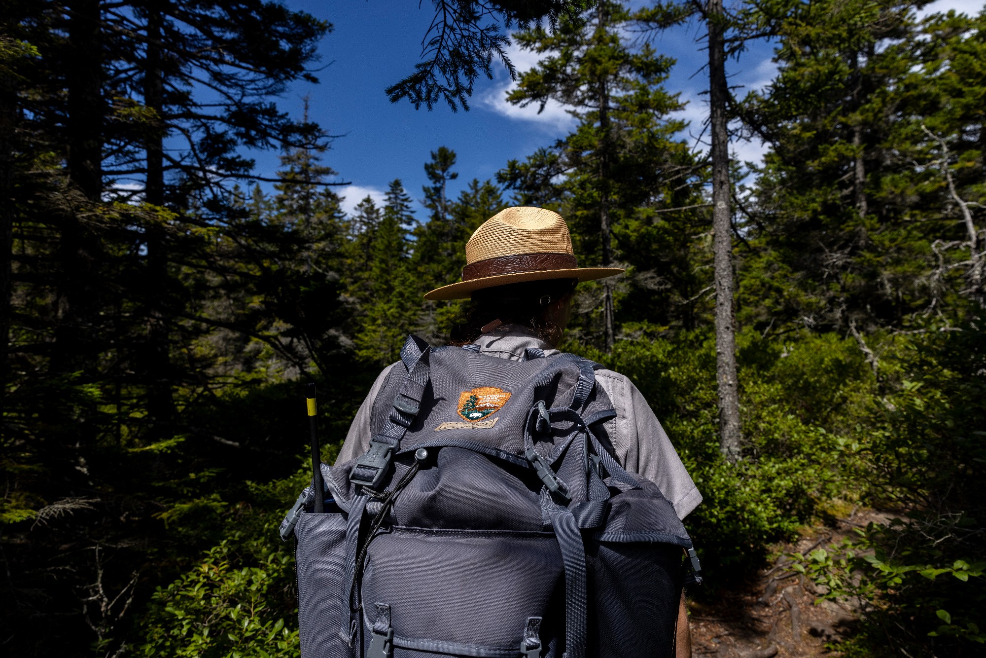 National Park Foundation Contributes $2 Million to Help Build Workforce Housing for Acadia