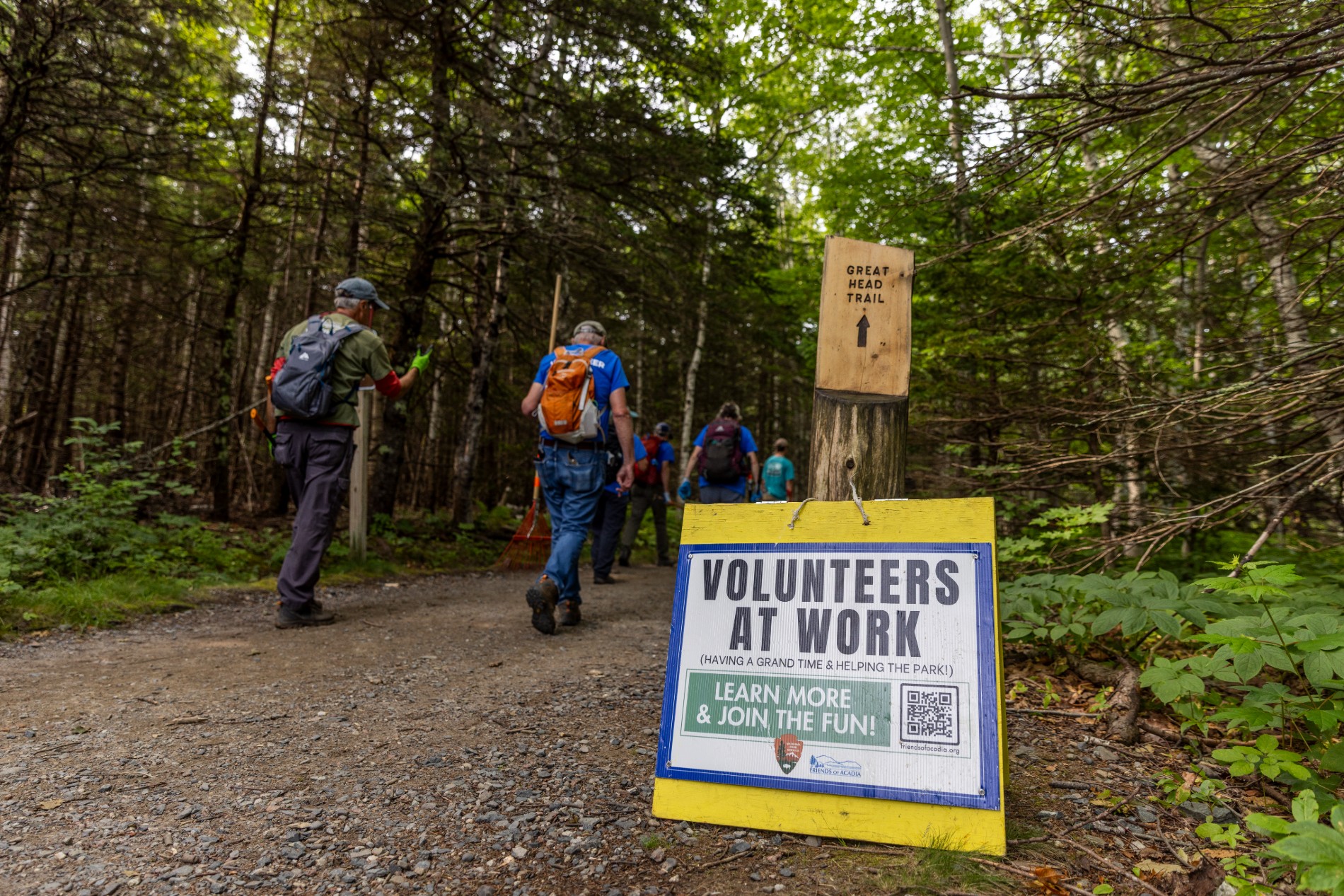 Celebrating the Volunteers Who Make Acadia Shine