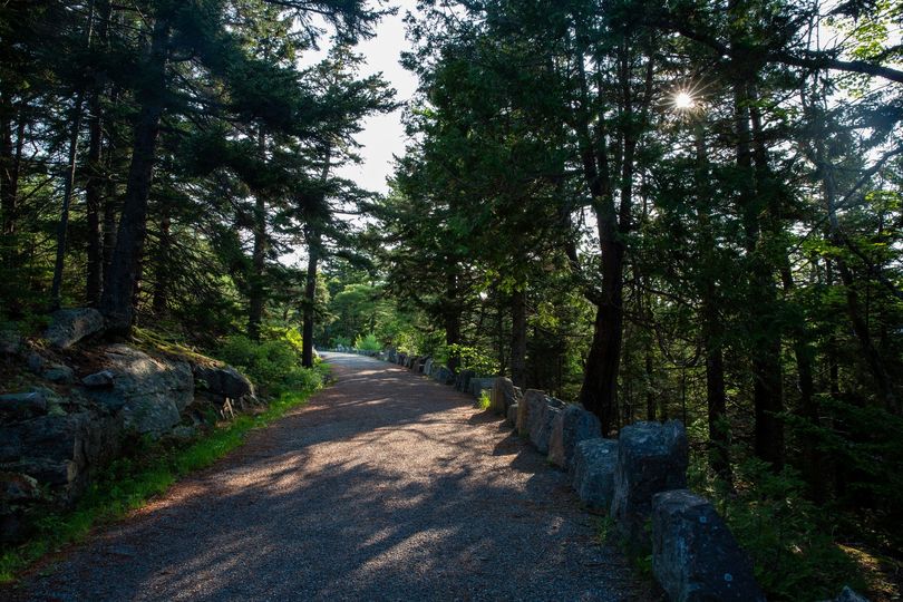 Photo of carriage road in June, 2019, by Emma Forthofer/Friends of Acadia