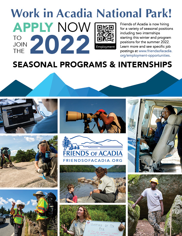 All Programs hiring poster - 2022