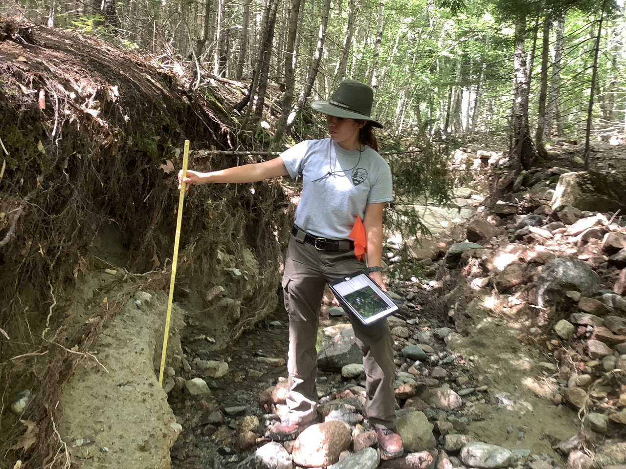 Acadia’s Physical Science Technician Erica Doody measures the depth of scour that occurred to a section of Chasm Brook.
