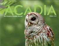 Spring issue of Acadia arrives soon