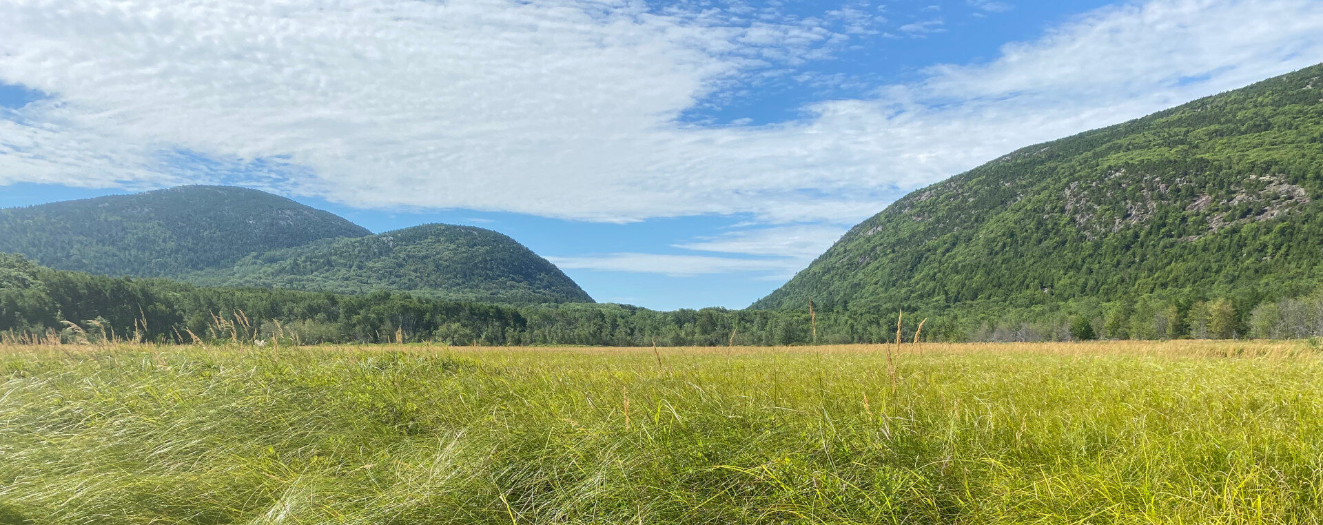 Virtual Meeting: Future of the Great Meadow Loop