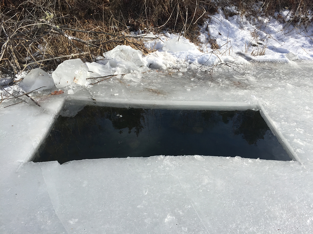 Window in the eight-inch-thick ice. 