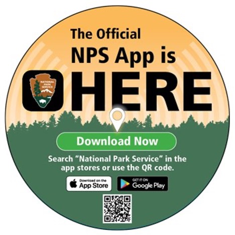 NPS App image