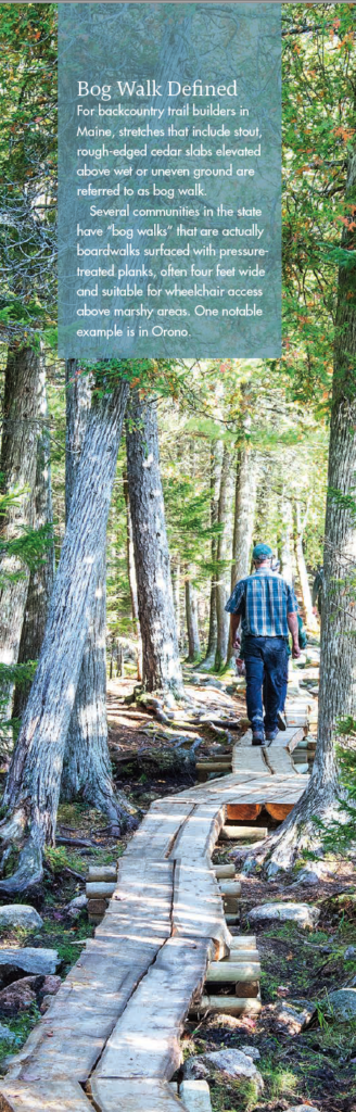 Friends of Acadia President David MacDonald enjoys a stroll along the newly completed bog walk along the west side of Jordan Pond in Acadia National Park.
