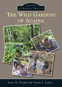 The Wild Gardens of Acadia cover