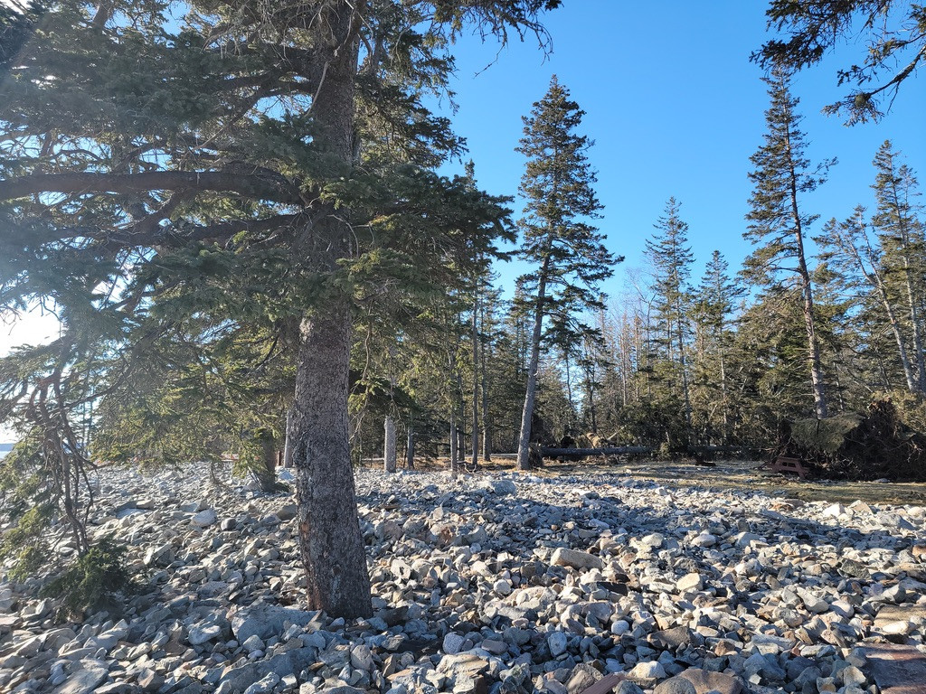 Acadia Confronts a Rising Tide - via Sierra - Friends of Acadia