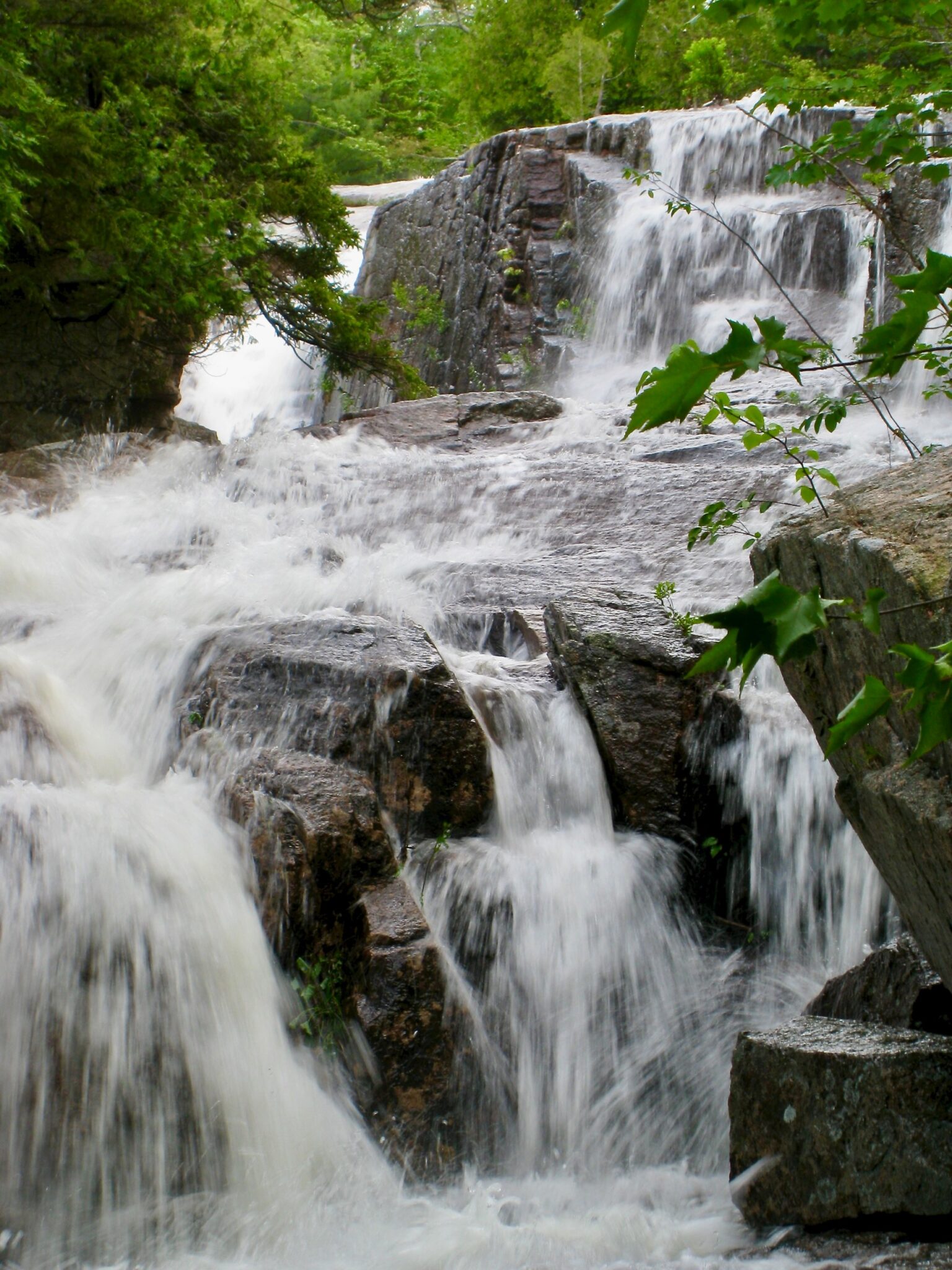 Cascadia: Spring Waterfalls in Acadia National Park - Friends of Acadia