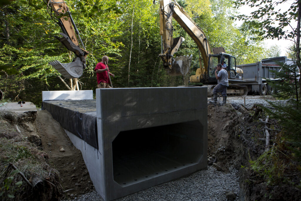 Wild Acadia Reimagined Friends of Acadia